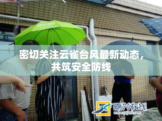 密切關(guān)注云雀臺(tái)風(fēng)最新動(dòng)態(tài)，共筑安全防線