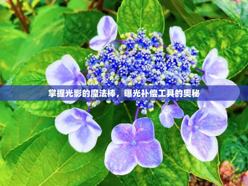 掌握光影的魔法棒，曝光補償工具的奧秘