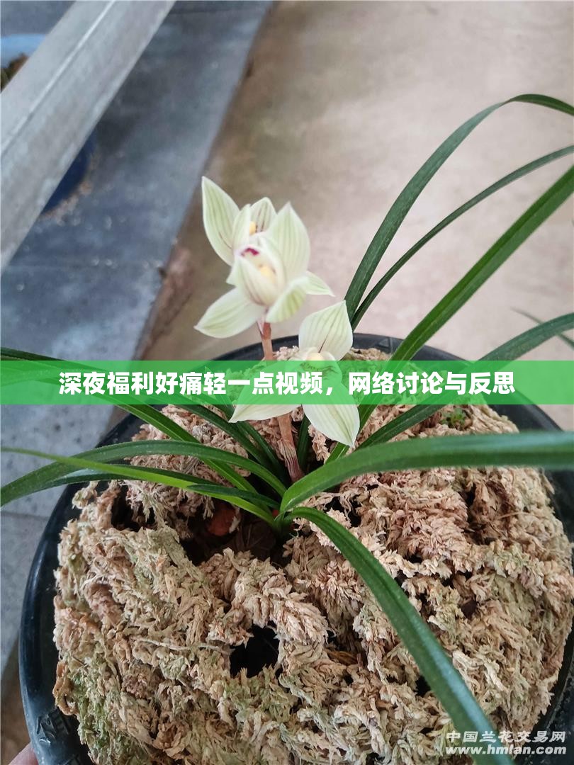 深夜福利好痛輕一點(diǎn)視頻，網(wǎng)絡(luò)討論與反思