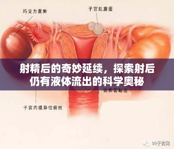 射精后的奇妙延續(xù)，探索射后仍有液體流出的科學(xué)奧秘