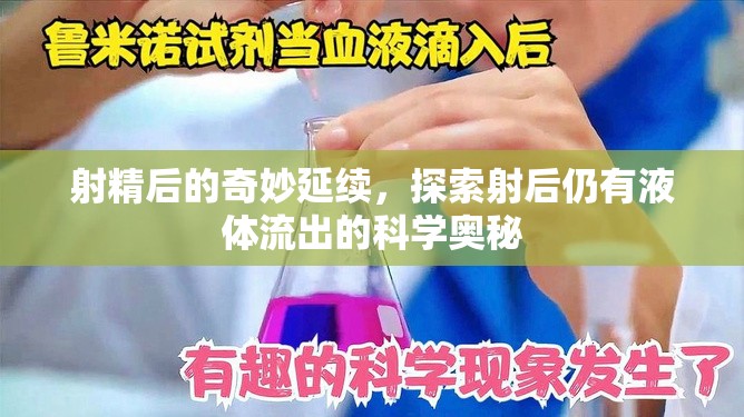 射精后的奇妙延續(xù)，探索射后仍有液體流出的科學(xué)奧秘