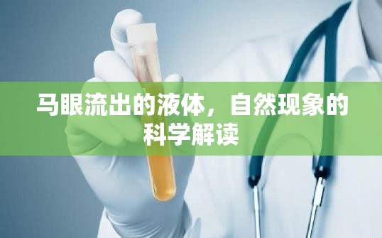 馬眼流出的液體，自然現(xiàn)象的科學(xué)解讀