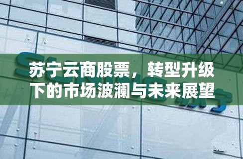 蘇寧云商股票，轉(zhuǎn)型升級(jí)下的市場(chǎng)波瀾與未來展望