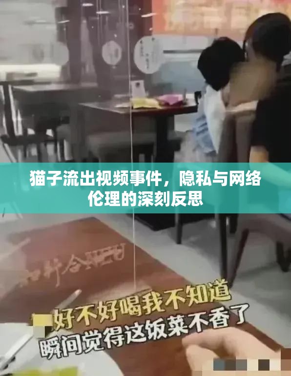 貓子流出視頻事件，隱私與網(wǎng)絡(luò)倫理的深刻反思