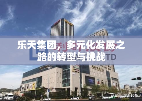 樂天集團(tuán)，多元化發(fā)展之路的轉(zhuǎn)型與挑戰(zhàn)