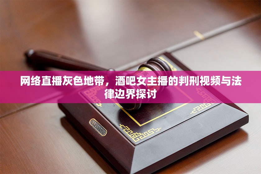 網(wǎng)絡(luò)直播灰色地帶，酒吧女主播的判刑視頻與法律邊界探討