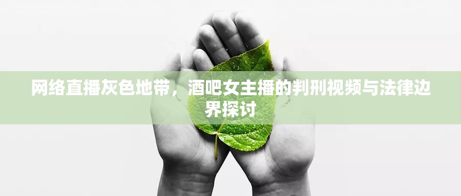 網(wǎng)絡(luò)直播灰色地帶，酒吧女主播的判刑視頻與法律邊界探討