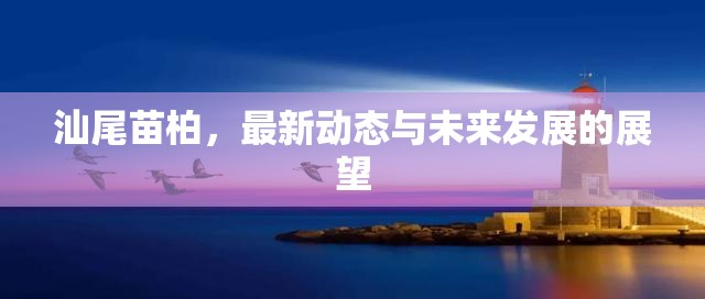 汕尾苗柏，最新動態(tài)與未來發(fā)展的展望