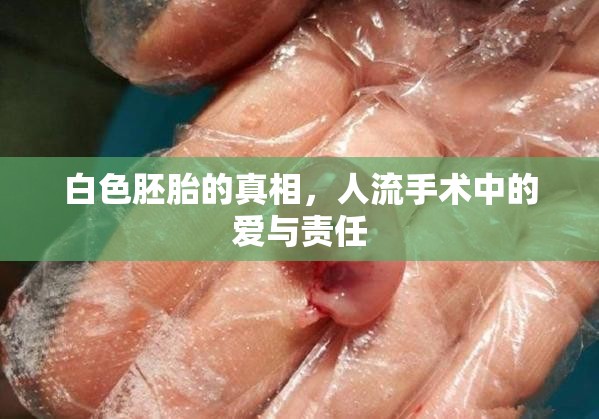 白色胚胎的真相，人流手術(shù)中的愛(ài)與責(zé)任
