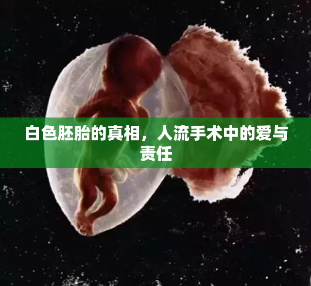 白色胚胎的真相，人流手術(shù)中的愛(ài)與責(zé)任