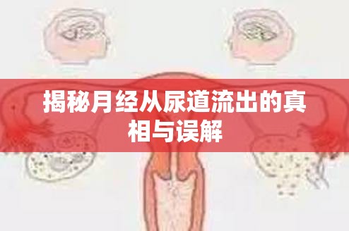 揭秘月經(jīng)從尿道流出的真相與誤解