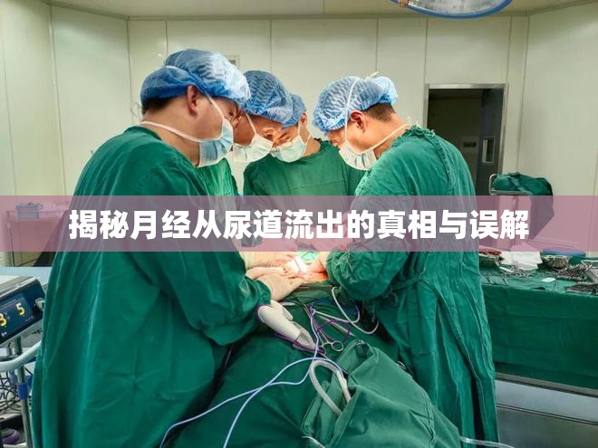 揭秘月經(jīng)從尿道流出的真相與誤解