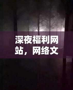 深夜福利網(wǎng)站，網(wǎng)絡(luò)文化中的灰色地帶