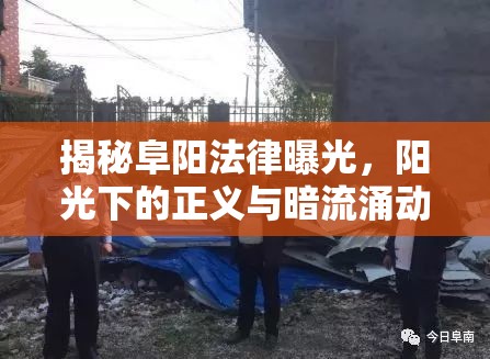 揭秘阜陽法律曝光，陽光下的正義與暗流涌動的挑戰(zhàn)