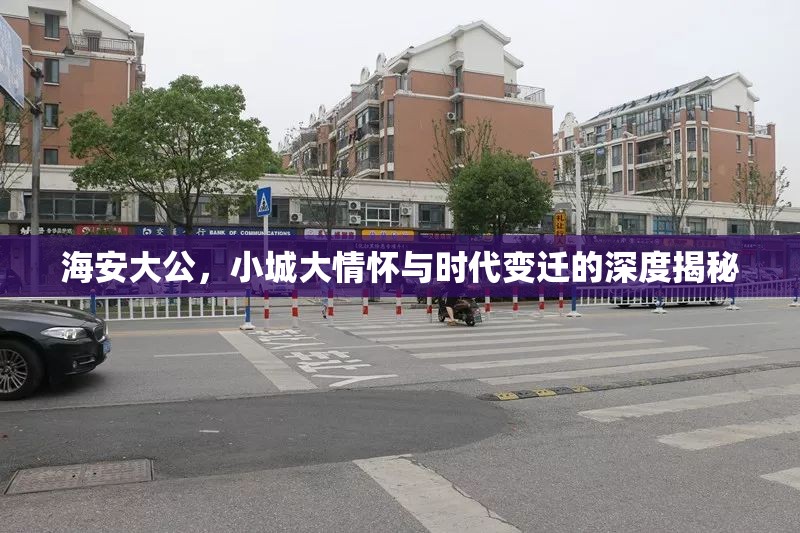 海安大公，小城大情懷與時(shí)代變遷的深度揭秘