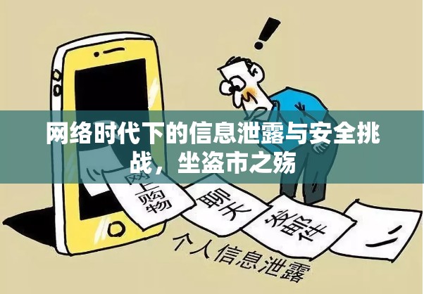 網(wǎng)絡(luò)時代下的信息泄露與安全挑戰(zhàn)，坐盜市之殤