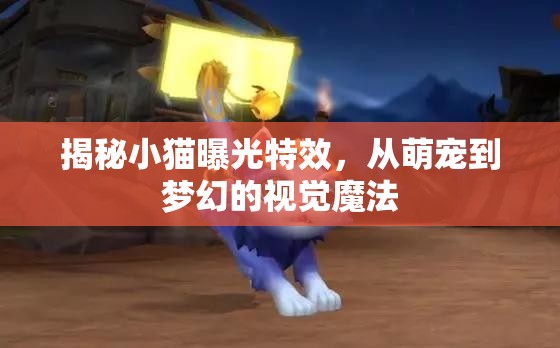 揭秘小貓曝光特效，從萌寵到夢幻的視覺魔法