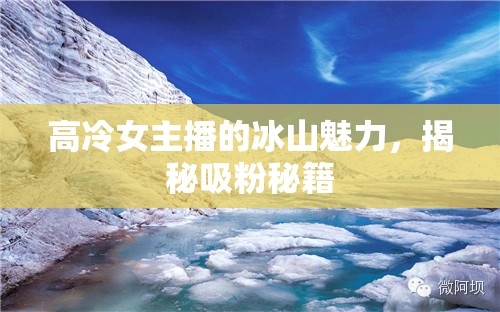 高冷女主播的冰山魅力，揭秘吸粉秘籍