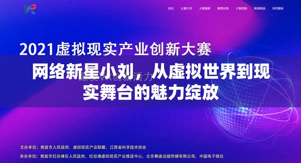 網(wǎng)絡(luò)新星小劉，從虛擬世界到現(xiàn)實(shí)舞臺(tái)的魅力綻放