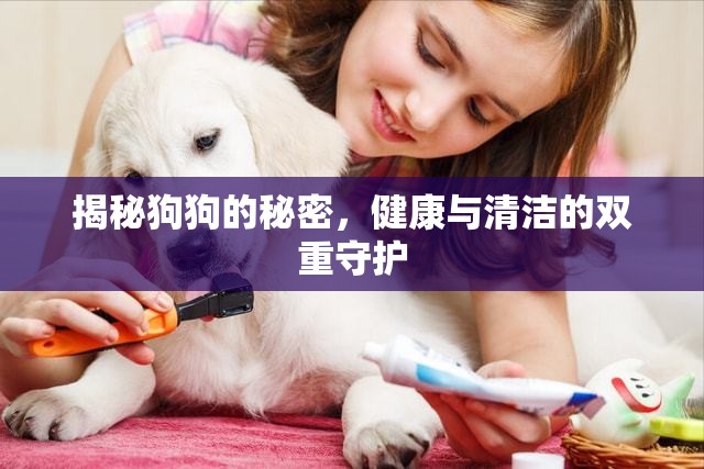 揭秘狗狗的秘密，健康與清潔的雙重守護(hù)