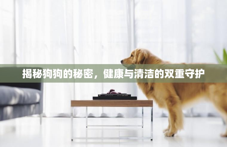 揭秘狗狗的秘密，健康與清潔的雙重守護(hù)
