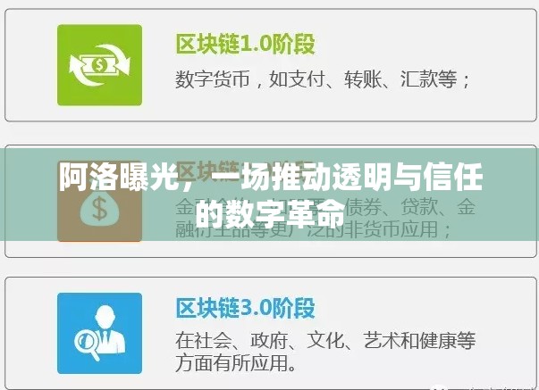 阿洛曝光，一場推動透明與信任的數(shù)字革命