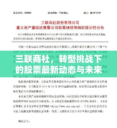 三聯商社，轉型挑戰(zhàn)下的股票最新動態(tài)與未來展望