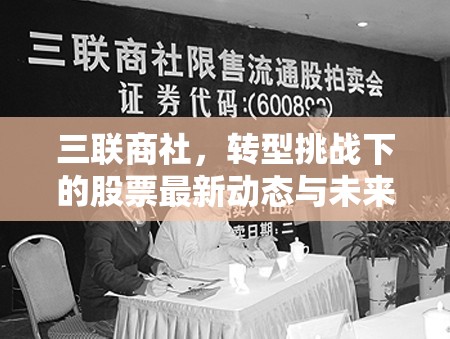 三聯商社，轉型挑戰(zhàn)下的股票最新動態(tài)與未來展望