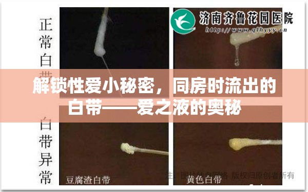解鎖性愛小秘密，同房時(shí)流出的白帶——愛之液的奧秘