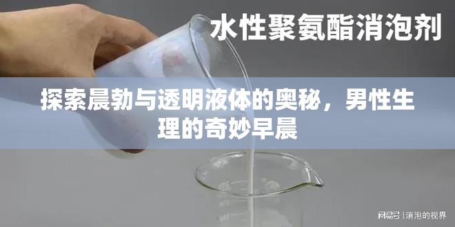探索晨勃與透明液體的奧秘，男性生理的奇妙早晨