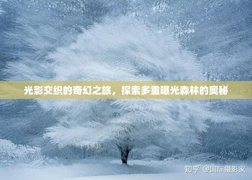 光影交織的奇幻之旅，探索多重曝光森林的奧秘