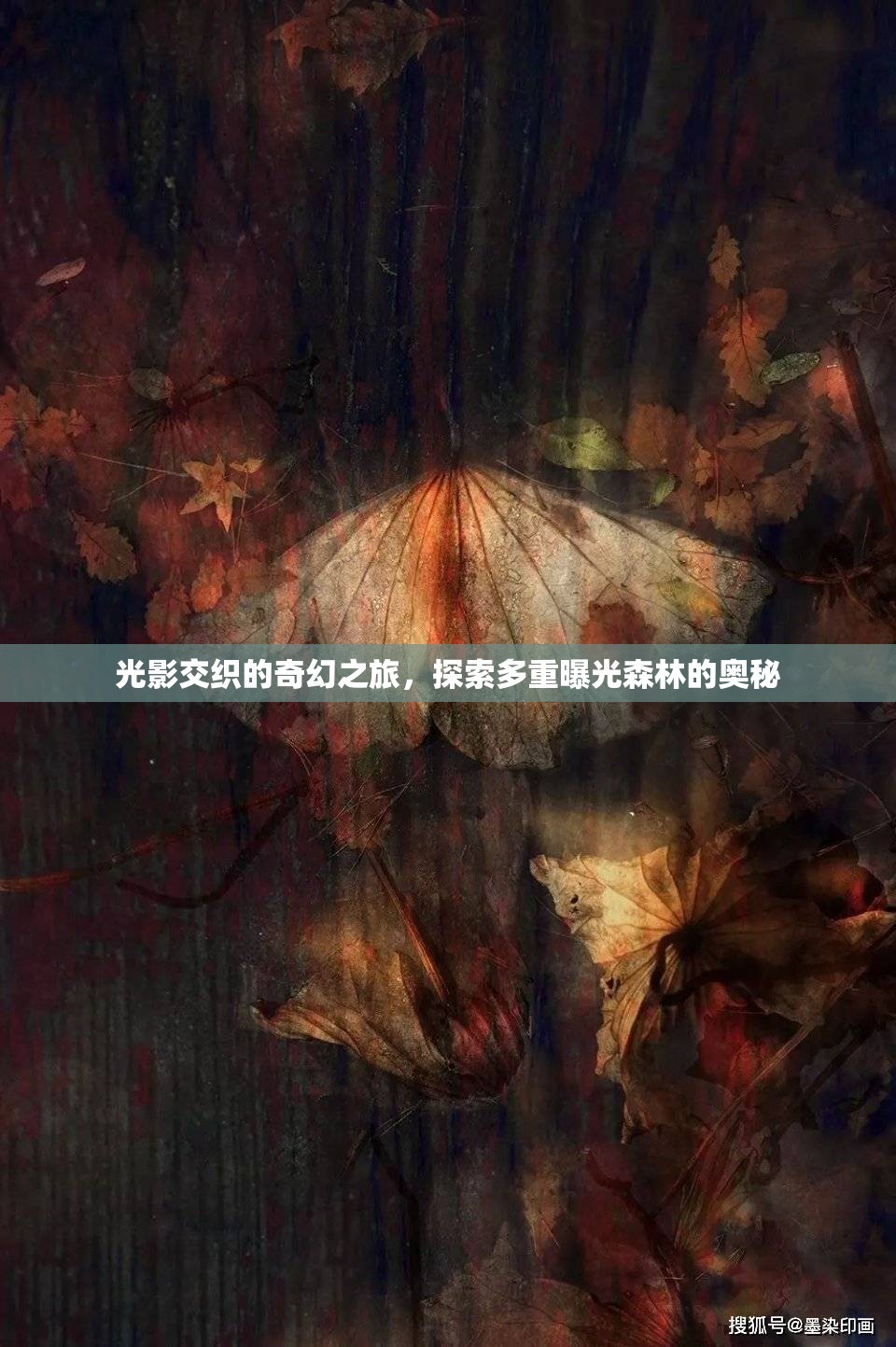 光影交織的奇幻之旅，探索多重曝光森林的奧秘