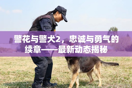 警花與警犬2，忠誠與勇氣的續(xù)章——最新動態(tài)揭秘