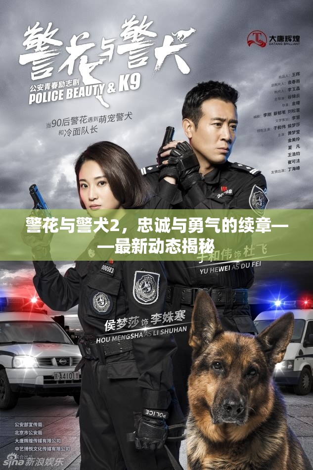 警花與警犬2，忠誠與勇氣的續(xù)章——最新動態(tài)揭秘