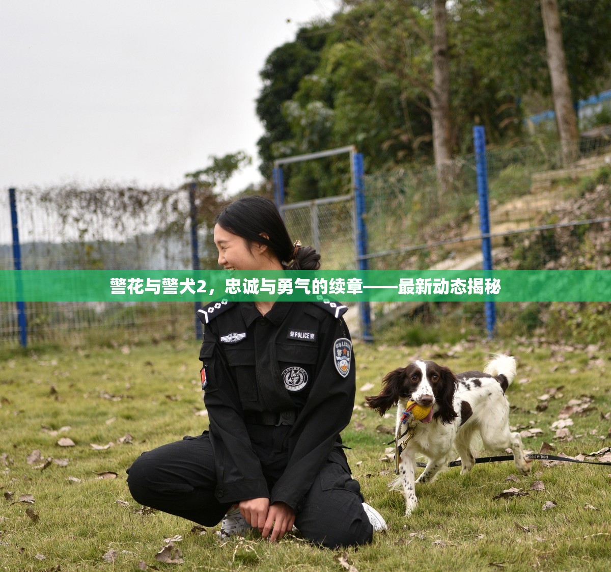 警花與警犬2，忠誠與勇氣的續(xù)章——最新動態(tài)揭秘
