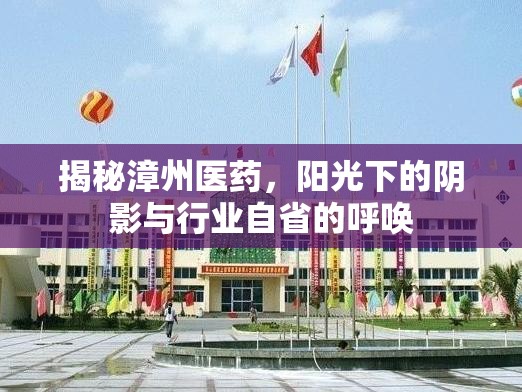 揭秘漳州醫(yī)藥，陽(yáng)光下的陰影與行業(yè)自省的呼喚