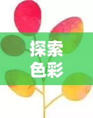 探索色彩的秘密，一場(chǎng)視覺(jué)與心理的奇妙之旅