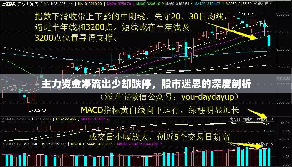 主力資金凈流出少卻跌停，股市迷思的深度剖析
