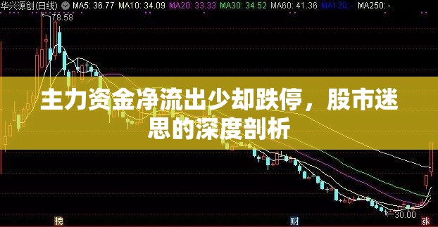 主力資金凈流出少卻跌停，股市迷思的深度剖析