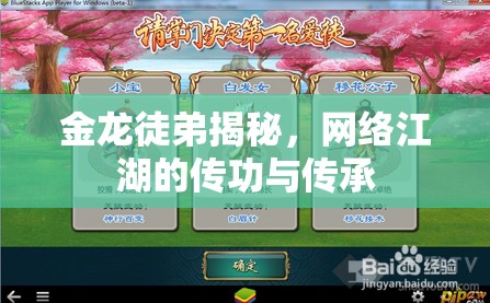 金龍徒弟揭秘，網(wǎng)絡(luò)江湖的傳功與傳承