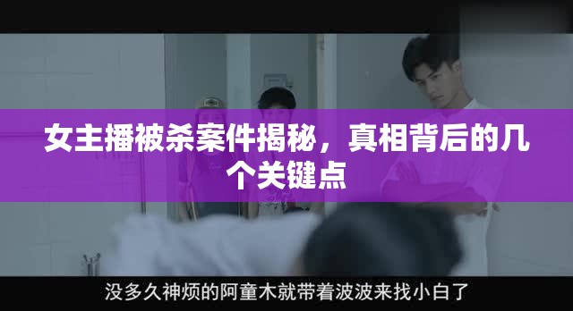 女主播被殺案件揭秘，真相背后的幾個(gè)關(guān)鍵點(diǎn)