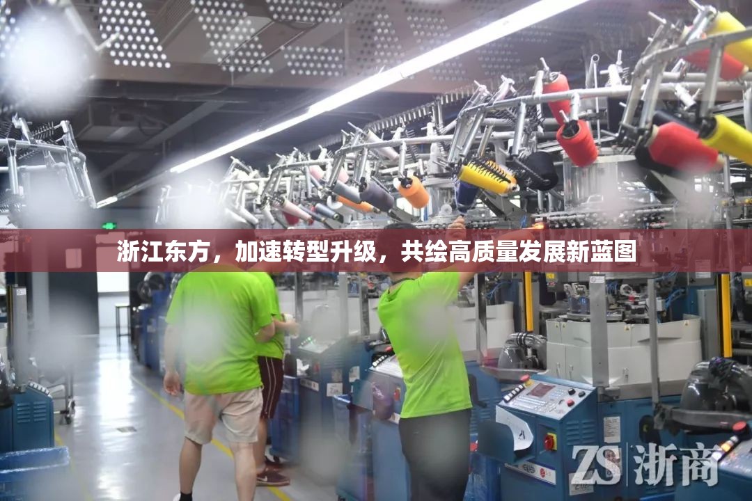 浙江東方，加速轉型升級，共繪高質量發(fā)展新藍圖
