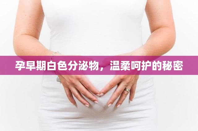 孕早期白色分泌物，溫柔呵護(hù)的秘密