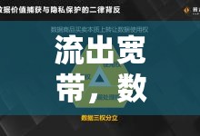 流出寬帶，數(shù)字時(shí)代的隱秘流量與挑戰(zhàn)