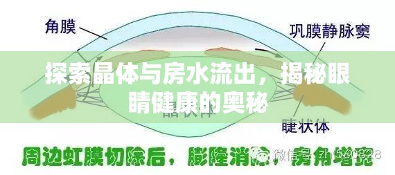 探索晶體與房水流出，揭秘眼睛健康的奧秘