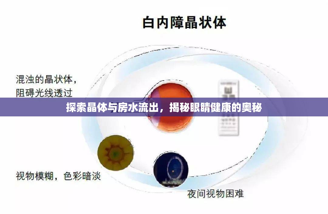探索晶體與房水流出，揭秘眼睛健康的奧秘