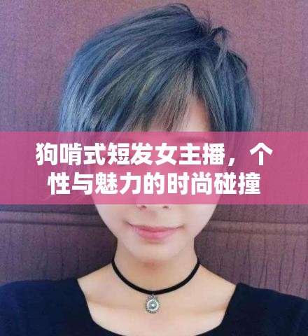 狗啃式短發(fā)女主播，個(gè)性與魅力的時(shí)尚碰撞
