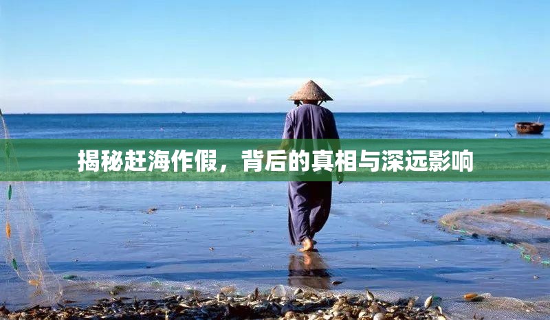 揭秘趕海作假，背后的真相與深遠(yuǎn)影響
