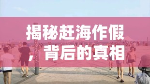揭秘趕海作假，背后的真相與深遠(yuǎn)影響