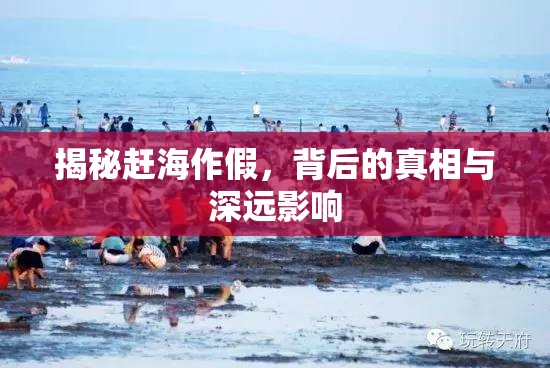 揭秘趕海作假，背后的真相與深遠(yuǎn)影響